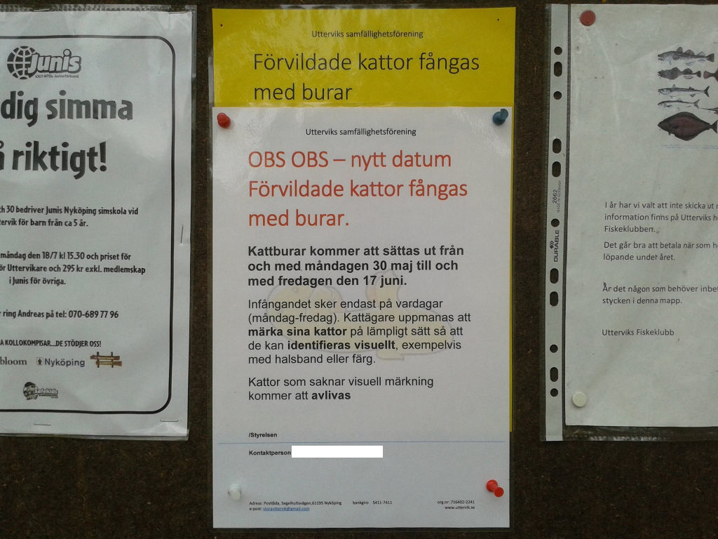 bild.jpg