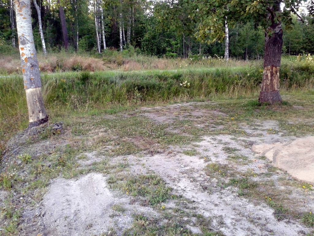 20160715_195731.jpg