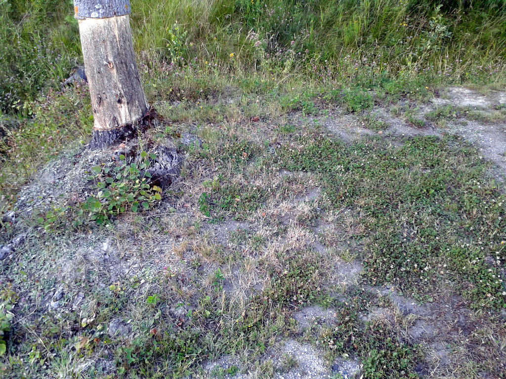 20160715_195738.jpg