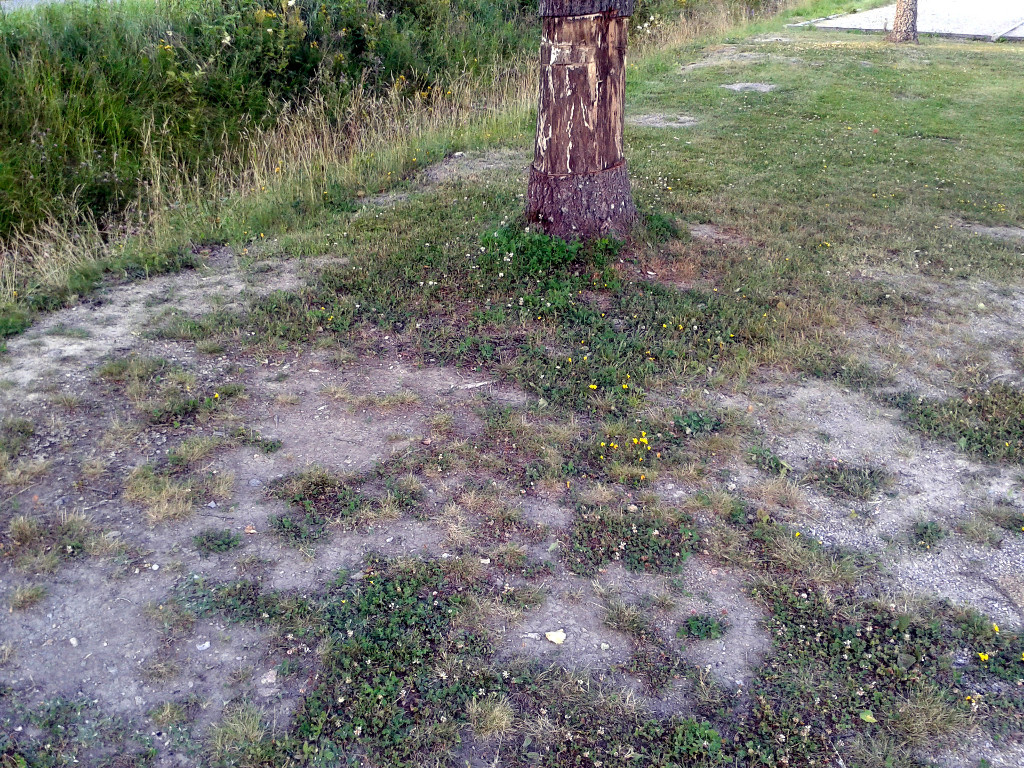 20160715_195745.jpg